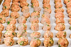 Raw formed meat balls ready to bake