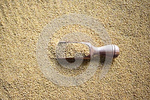 Raw Foxtail millet