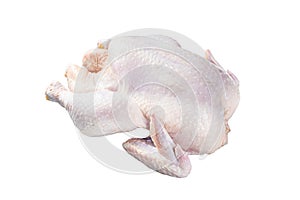 Raw free range whole chicken Isolated on white background, top view.