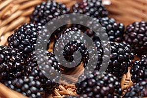 Raw fresh blackberries in rattan wicker bowl. Organic ripe berry