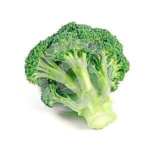 Raw Fresh Broccoli as Healphy Food Isolated on White photo