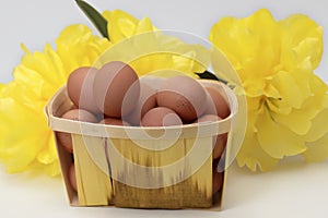 Raw, fresh chicken eggs in a basket. Brown eggs in a basket on a light, yellow background. Copy space