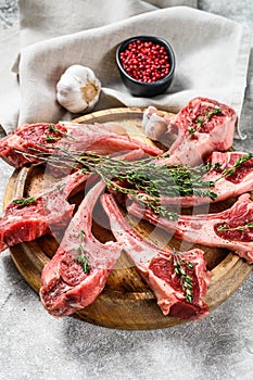 Raw fresh lamb rib chops with salt, pepper and herbs. Gray background. Top view