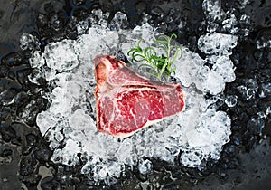 Raw fresh meat t-bone steak on chipped ice with rosemary