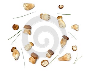 Raw fresh mushrooms Boletus edulis, green grass on a white background with space for text. Top view, flat lay