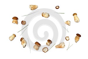 Raw fresh mushrooms Boletus edulis, green grass on a white background with space for text. Top view, flat lay