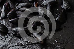 Raw fresh mussels on black slate stone background. Cooking seafood concept. Copy space