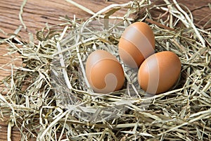 Raw fresh natural farm chicken eggs on straw and wood background