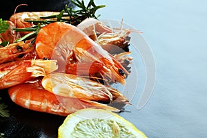 Raw fresh Prawns Langostino Austral. shrimp seafood with fresh lemon and spices