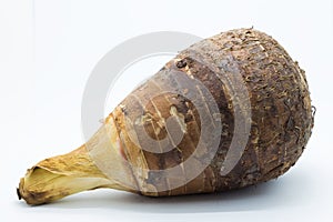 Raw fresh root taro on white background