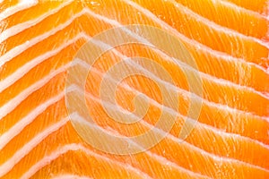 Raw fresh salmon texture