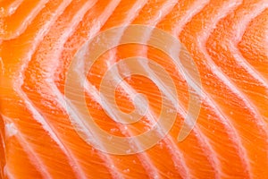 Raw fresh salmon texture