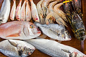 Raw fresh seafood-lobster, Dorado fish, king prawns, sea bass, o