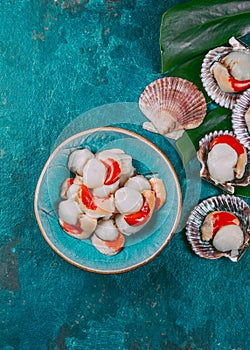 Raw fresh seafood shellfish scallops on blue background