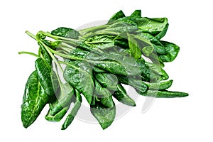 Raw fresh spinach leaves Isolated on white background, Top view. photo