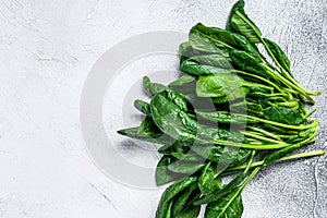 Raw fresh spinach leaves on a stone table. White background. Top view. Copy space photo