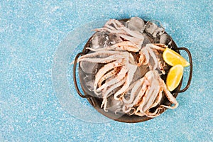 Raw fresh squid tentacles on a blue concrete background, top view