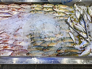 Raw frozen fish for sale at seafood supermarket