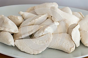 Raw frozen uncooked dumplings on white plate