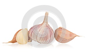 Raw garlic bulb