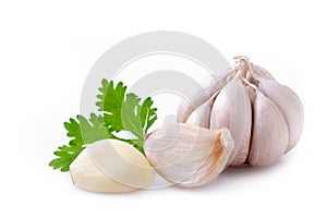 Raw garlic with coriander isolated on white background