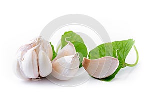 Raw garlic with green leaf isolated on white background