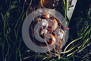 Raw Garlic, onion, dill and parsley for soup for dinner on the wooden table background. Rustic food styling. Natural