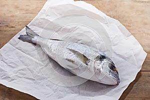 Raw gilt head bream