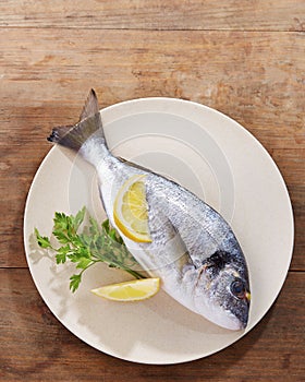 Raw gilt head bream