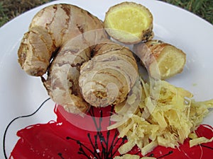 Different Kinds Of Raw Ginger.
