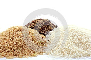 Raw gluten-free rice cereal ingredient.