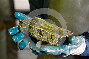 Raw gold ingot in the hands