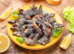 Raw goose barnacles close up on yellow plate on wooden table