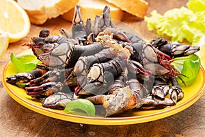 Raw goose barnacles close up on yellow plate on wooden table