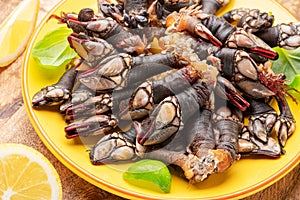 Raw goose barnacles close up on yellow plate on wooden table