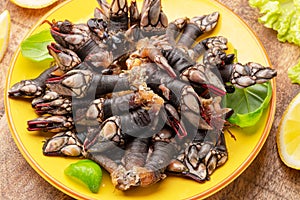 Raw goose barnacles close up on yellow plate on wooden table