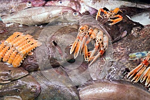 Raw Goosefish and other seafood