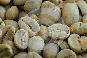 Raw Green Coffee Bean