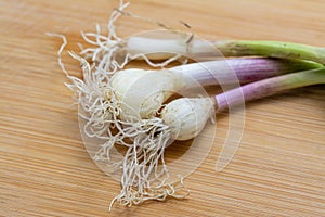 Raw green garlic on cutting board