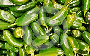 Raw green Jalapeno peppers in a supermarket.