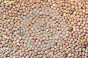 Raw green lentils background