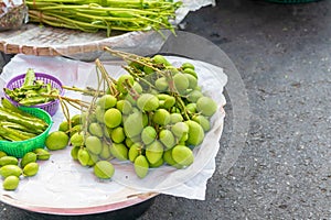 Raw or green Mangoes called king of fruits , being sold in markets and available in super market.