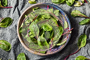 Raw Green Organic Baby Beet Greens