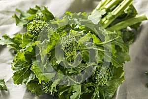 Raw Green Organic Broccoli Rabe photo