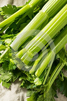 Raw Green Organic Celery