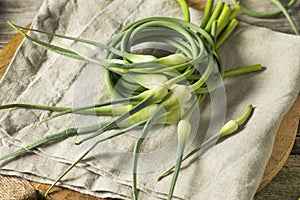 Raw Green Organic Garlic Scapes