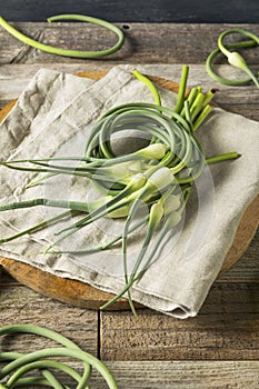 Raw Green Organic Garlic Scapes