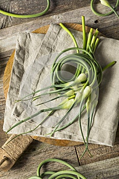 Raw Green Organic Garlic Scapes