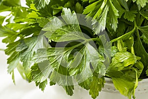 Raw Green Organic Italian Flat Leaf Parsley