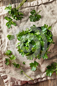 Raw Green Organic Italian Flat Leaf Parsley